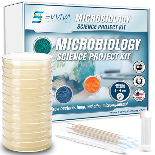 Evviva Sciences Microbiology Science Project Kit, Pre-Poured Agar Plates for Students, Agar Petri Dishes to Learn Microbiology, with Educational Experiment eBook