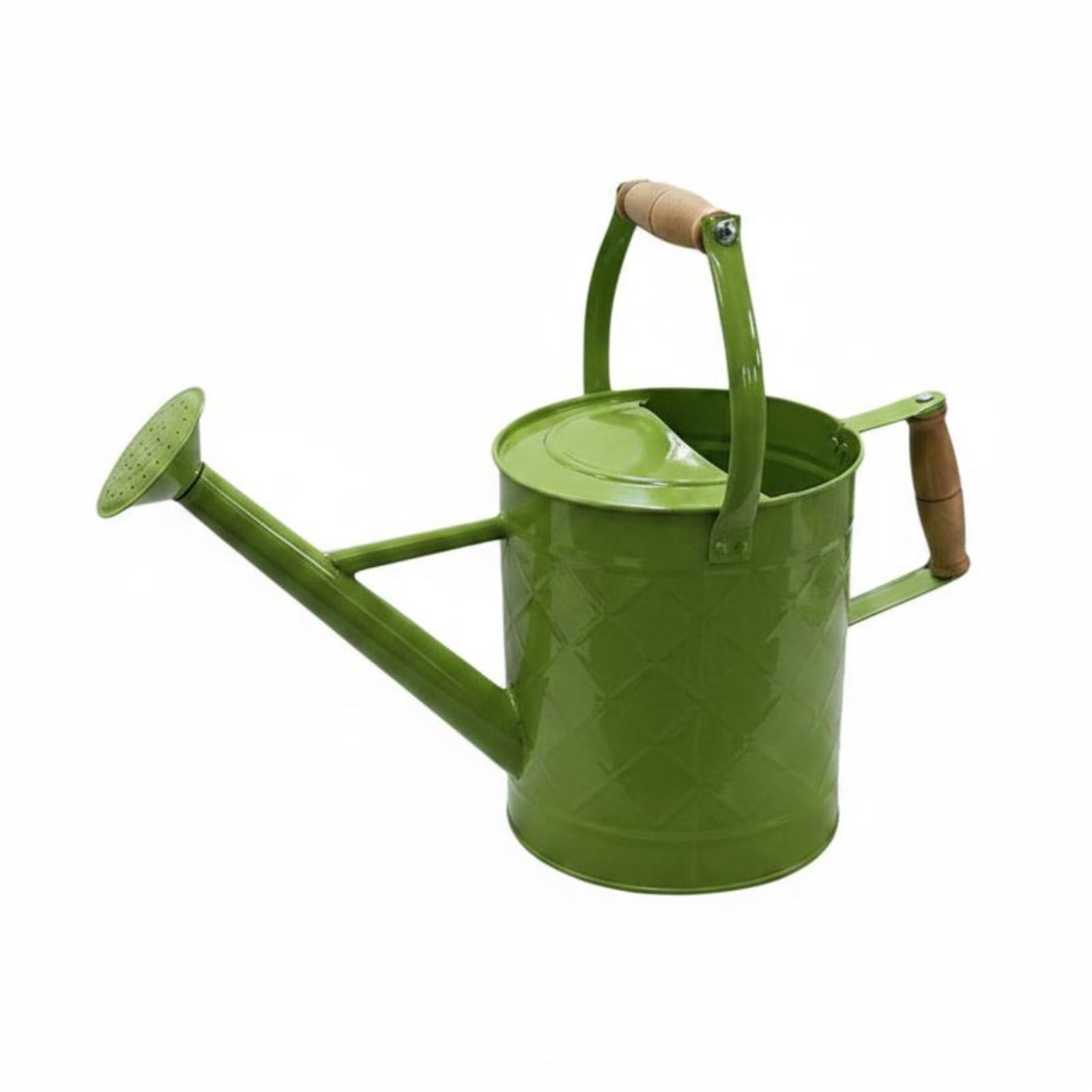 Arrosoir Métal Jardin Plantes Becs Fin Poignée Bois Coulée Précise Utilisation Ergonomique Convient Balcon Serre Espace Intérieur Extérieur Taille Unique, Vert Fruit