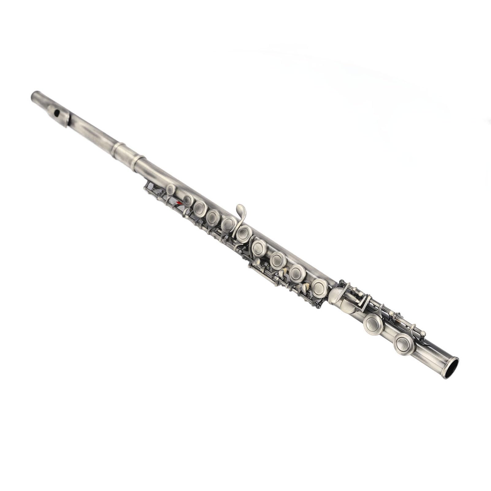 Eujgoov Flauta C de 16 Teclas, Material de Cuproníquel, Ideal para Estudiantes y Principiantes, Excelente Rendimiento para Práctica y Grabación Musical (Azul verdoso antiguo)