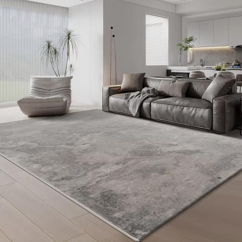 Tapis à poils courts lavable gris décoration chambre et tapis de sol