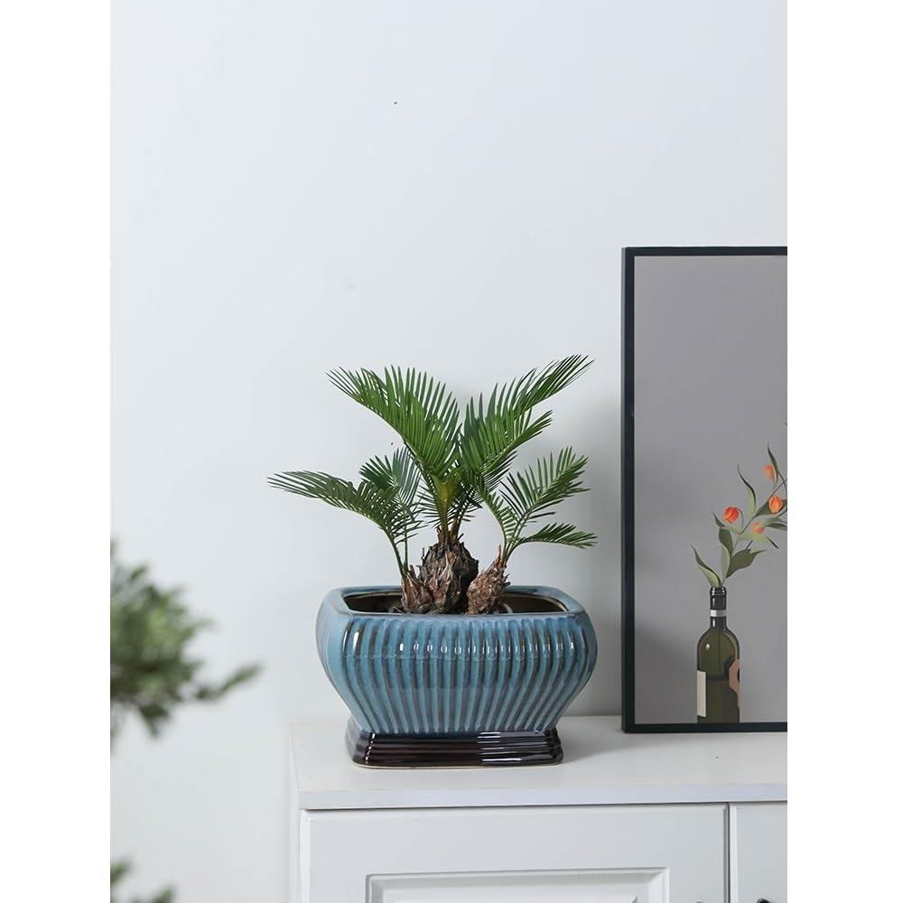 Doniczka Ceramiczne doniczki do roślin doniczkowych z otworami drenażowymi Nowoczesne użytku wewnątrz i na zewnątrz