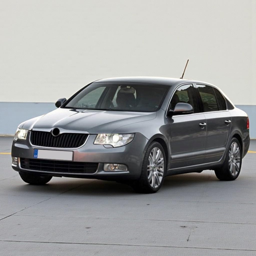 Sol Arka Kapı Kolu İç Braketi 5N0839885F Skoda Superb ile uyumlu 2009-2013