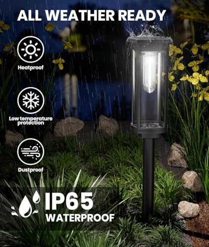 Image of NEWMESSI Solar Pathway Lights Outdoor, IP65 Waterproof Solar Garden Lights for Outside Lighting, Yard Path Lawn Walkway Driveway Landscape (Round Cool White, 6 Pack)