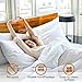 Acacia Aurora 800 lbs Capacity Queen Bed Frame and Headboard Solid Wood Platform Bed, Contemporary Signature Wood Bed Frame Compatible with All Mattress Types 30 Mins Assembly, Caramel