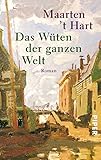maarten t hart der flieger  Das Wüten der ganzen Welt