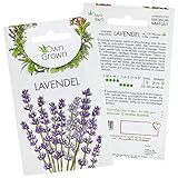 🌱 𝐐𝐔𝐀𝐋𝐈𝐓Ä𝐓 𝐀𝐔𝐒 𝐃𝐄𝐔𝐓𝐒𝐂𝐇𝐋𝐀𝐍𝐃: Unsere zertifizierten Pflanzen Samen entwickeln ca. 50cm hohe Pflanzen. Die Lavendel-Aufzucht ist nicht leicht, aber die Geduld lohnt sich! Bei Fragen sind wir für Sie da!