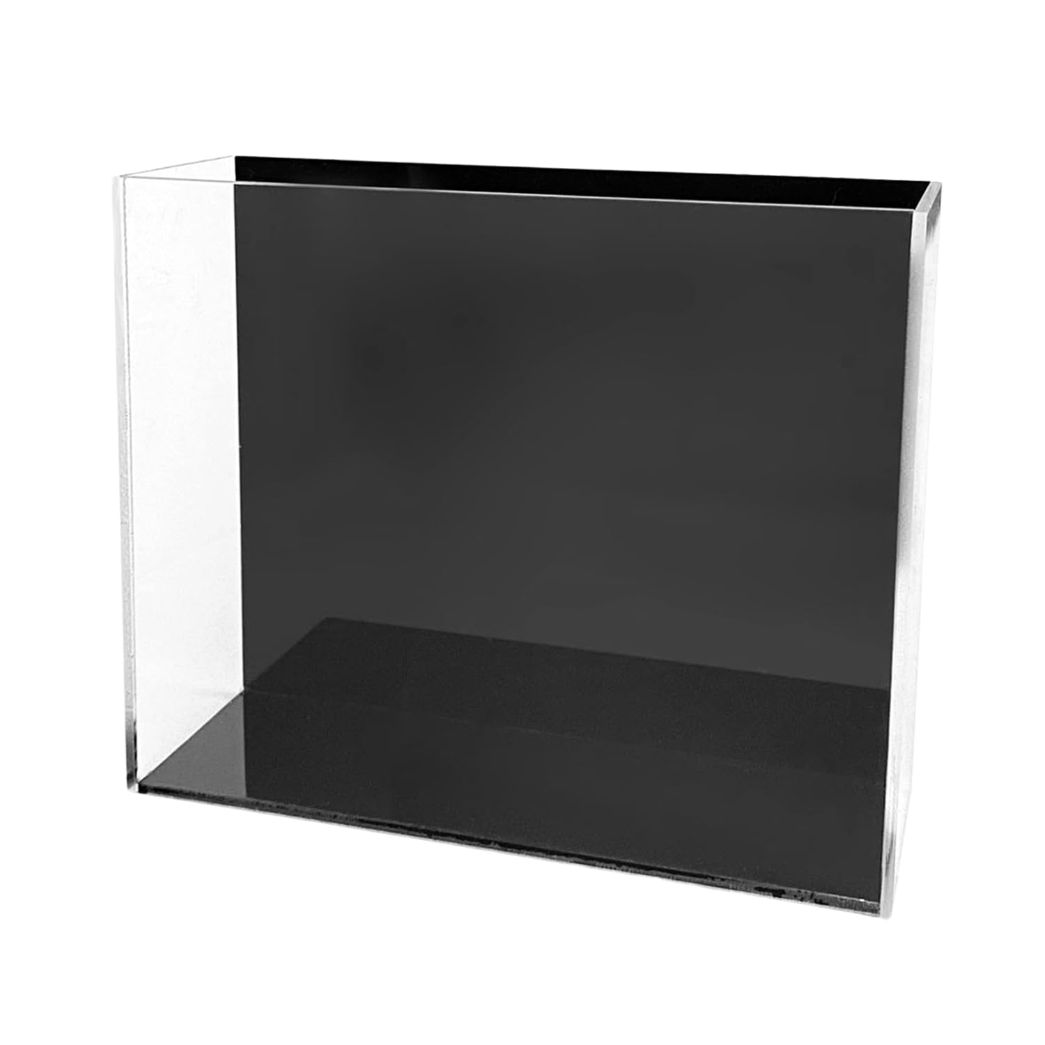 Amazon.co.jp: メダカ 選別・撮影用 アクリル横見ケース（背景プレート