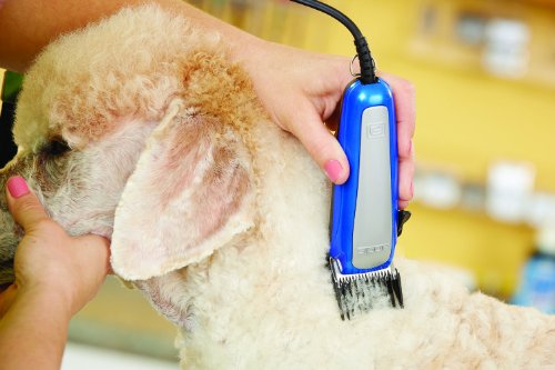 Andis Easyclip Ultra Adjustable Blade Clipper Kit, Pet Grooming, Raca (60165) #TOP4