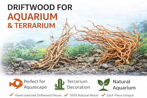 Image of Azil Natural Aquarium Driftwood Root - Driftwood for Aquarium Decor, 170g~0.38lb (14″-16″), Fish Tanks, Terrariums, Aquascaping & Planted Tanks