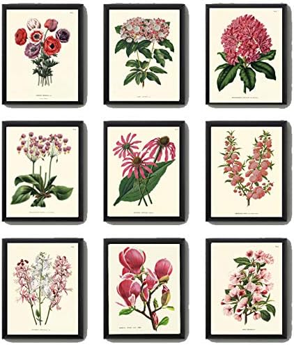 Amazon.com: LoveThePrint Botanical White Pink Flowers Wall Art Home ...