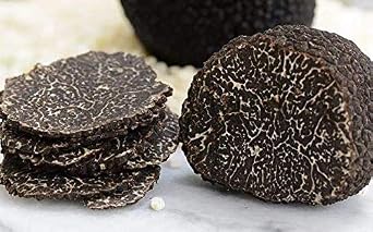 Dried Black Truffles, Premium Grade (1oz) Sliced, Rich Umami Flavor, Versatile & Gourmet, Convenient & Long-Lasting