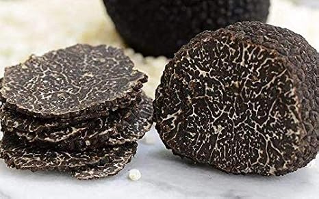 Dried Black Truffles, Premium Grade (1oz) Sliced, Rich Umami Flavor, Versatile & Gourmet, Convenient & Long-Lasting