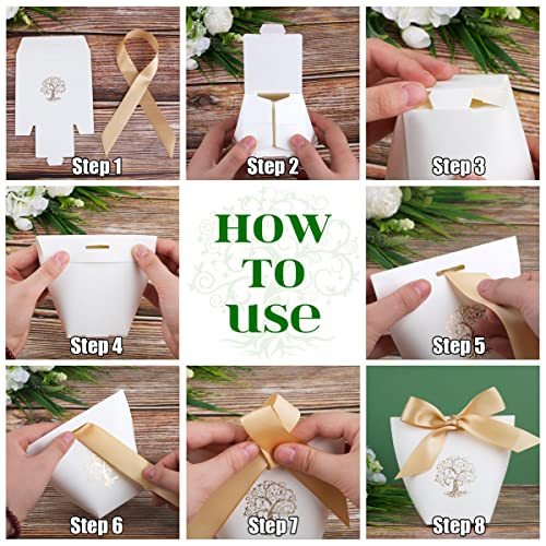 25pz Scatoline Bomboniere Albero della Vita