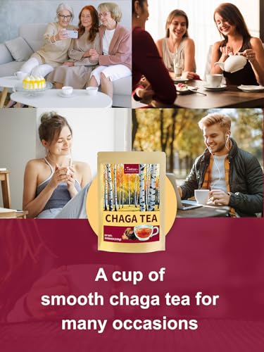 Image of TeeLux Chaga Tea Bags, Pure Chaga Mushroom Tea, Caffeine Free, 100 Count | Natural Chaga Herbal Tea with Smooth & Mild Flavor, Hot or Iced
