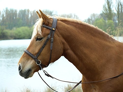 Barefoot Gebisslose Zäumung für Pferde – Bittless Bridle und Sidepull in einem – Weich gepolstert mit breitem Nasen-, Stirn- und Genickstück – ideal für Western, Englisch und Wanderreiten – braun