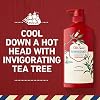 Old-Spice-Reinvigorate-Shampoo-for-Men-with-Tea-Tree-Oil-219-Oz-Each-Twin-Pack