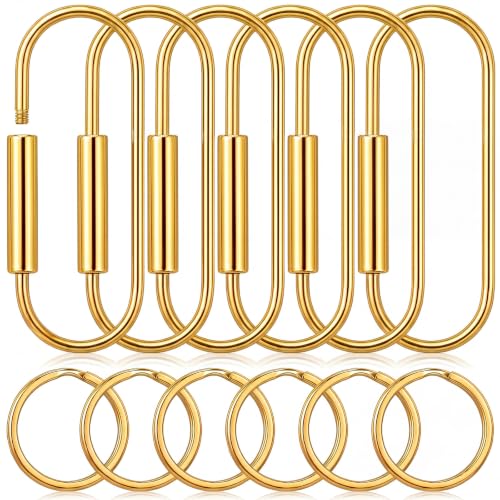 Image of WILLBOND Brass Carabiner Key Ring Locking Screw Carabiner Clips Round Key Rings Keychain Kit for Handbags Purse Bag Charm