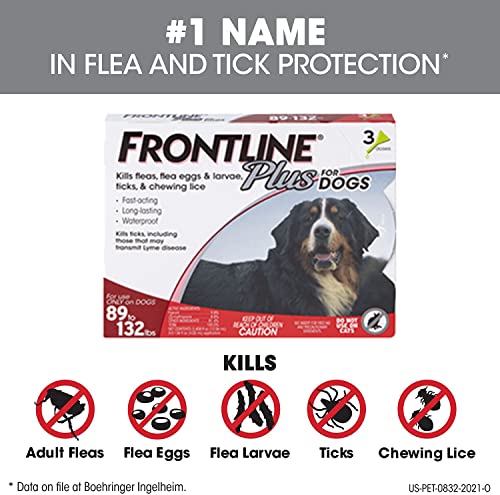 FRONTLINE Plus for Dogs Flea and Tick Treatment (Extra Large Dog, 89-132 lbs.) 3 Doses (Red Box) - Image 3