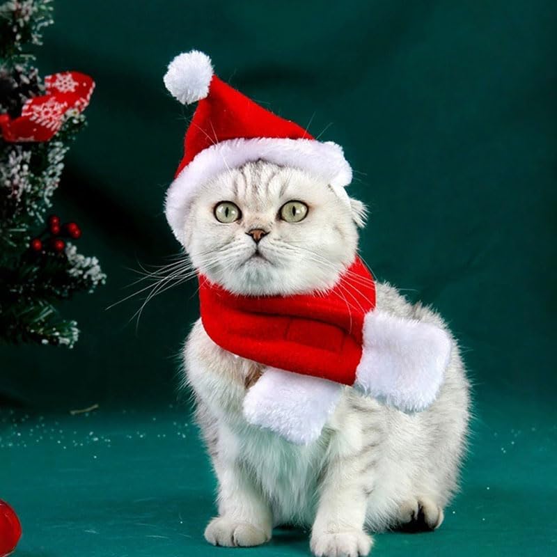 2PCS Cat Christmas Costume Set, Santa Hat with Adjustable Tie & Scarf Outfit, Festive Holiday Outfit for Puppy Kitten Christmas Parties & Photos, Medium