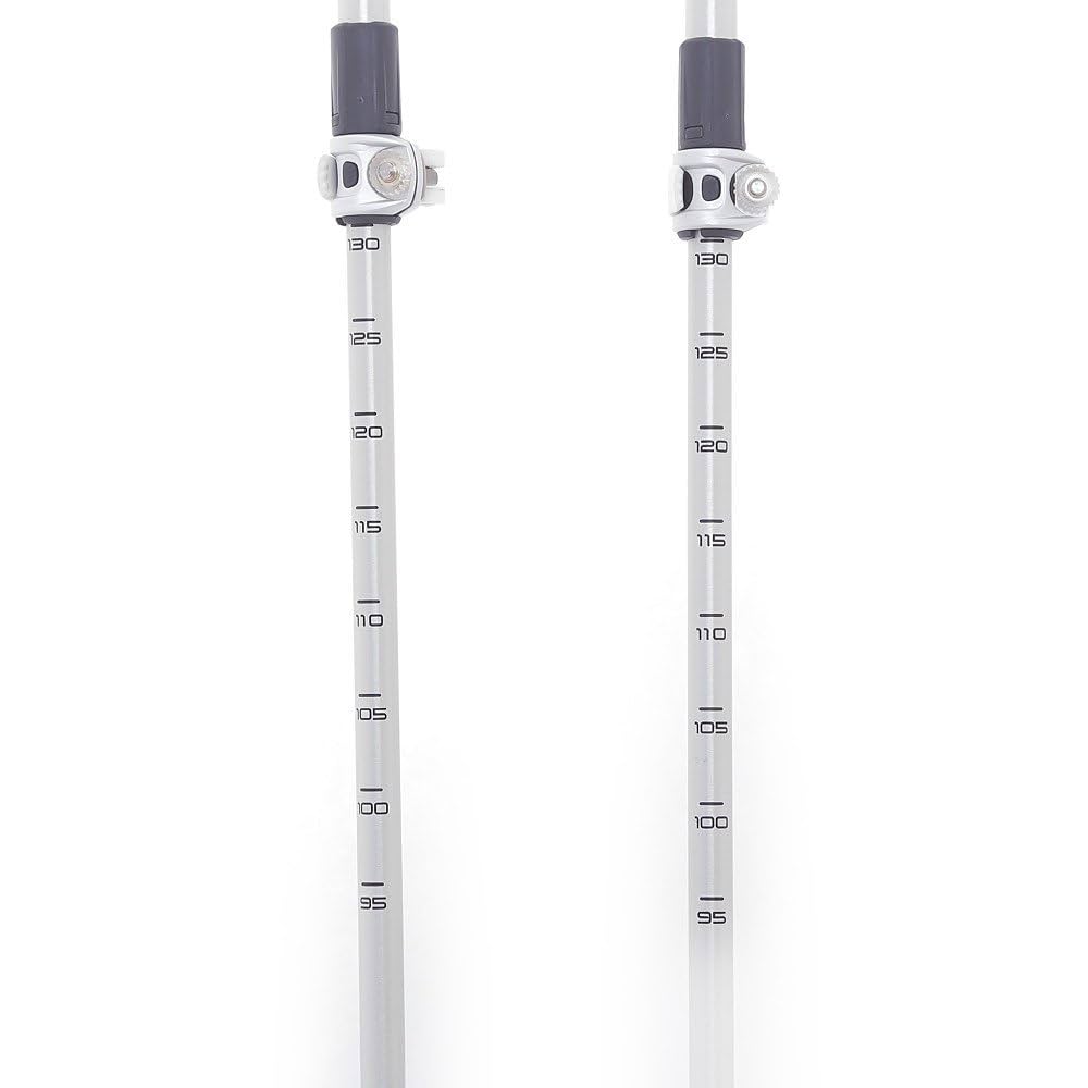 レキ2本セット ウォーキングポール レキ 伸縮 スピンショート アグレッシブ