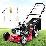 Benzin-Rasenmäher, Schiebe-Rasenmäher, 173cc 4-Takt-Motor, 7-Fache Schnitthöhenverstellung, 18/20 Zoll Schnittbreite, Leichtstart-System, Inkl. Zubehör, Für Kleine Bis Mittelgroße Gärten 20in