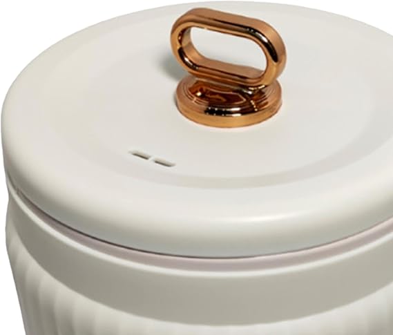 Small Rice Cooker 1.6L Noodle Cooker Keep Warm Portable Electric Pot Nonstick for 1-2 People Camping Cooking Soup Oatmeal, Beige