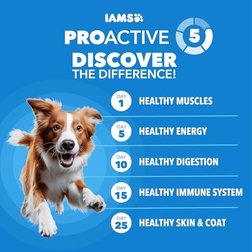 IAMS Proactive Health Healthy Weight Control Large Breed Adult Dry Dog Food with Real Chicken, 29.1 lb. Bag