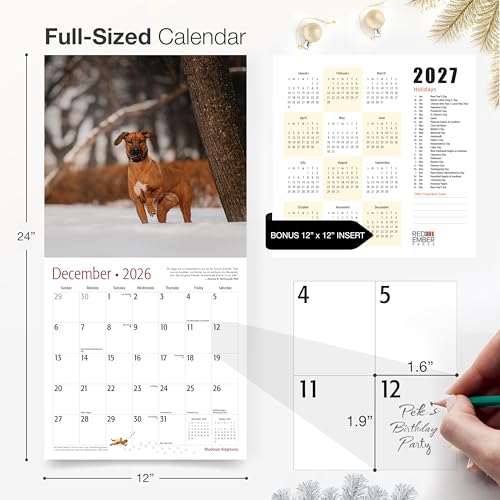 Image of RED EMBER Rhodesian Ridgebacks 2026 Wall Calendar 12 Month | 12 inch x 24 inch Open | Thick & Sturdy Paper | Giftable | Cute Puppy Dog Calendar 2026