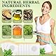 Abnehmen Patch, 100 Stück Slim Patch, Abnehmen Schnell Fettverbrenner, Abnehmen Fettverbrenner, Abnehmpflaster, Taille schlank, Bauchfett, Anti-Cellulite, Schnelle und sanfte Fettverbrennung