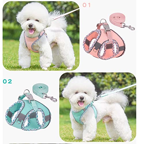 Factorys Hundegeschirr für kleine, mittelgroße und große Hunde, kein Ziehen, Welpengeschirr und Leine-Set, Verstellbar, Mint Green, Turquoise, XXS, Fischgrätmuster