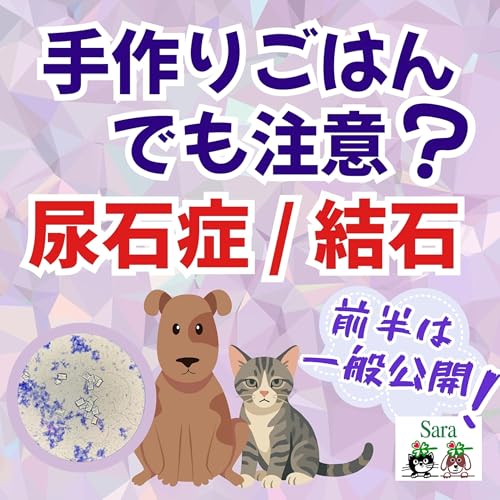 #1043. 手作り食でも尿石症になる❓注意するべきポイント（質問に回答）🐶🐱