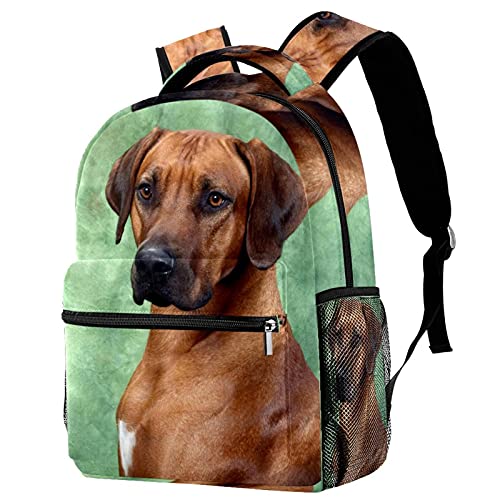 Sac à dos voyage loisirs campus Rhodesian Ridgeback contre le désordre