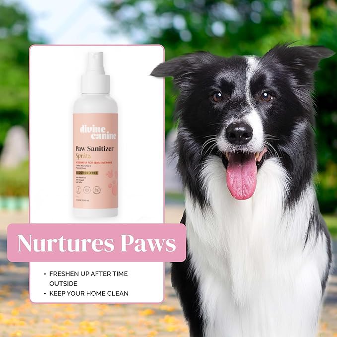 Image of Dog Paw Cleaner Spray - Rosewater No-Rinse Wash - 5.1 Fl Oz | Alcohol-free rosewater dog paw cleaner spray with aloe, copaiba & lemongrass for sensitive paw pads - no rinse wash
