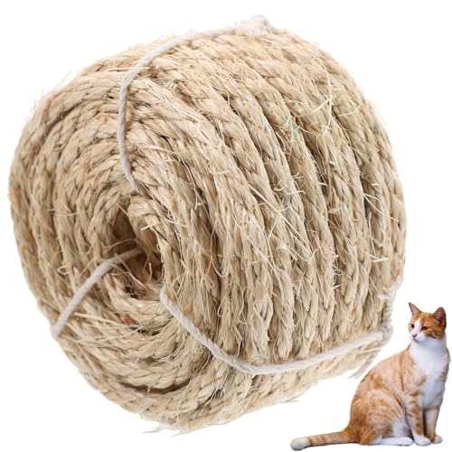 [v a2/4/6/8/10/12/14/16mm 25/50M/100M Ђ L ܂Ƃ C L̓C邽߂Ɏgp Lbg^[yA[v C[v  DIY (2mm,100M)