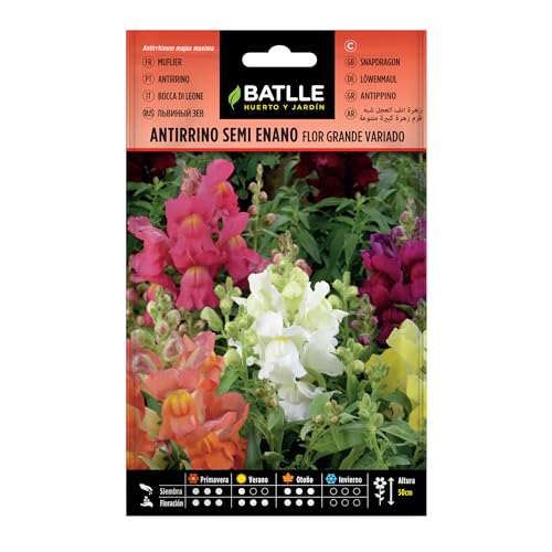 Semillas Batlle - Antirrino SEMI ENANO f. gde Vdo
