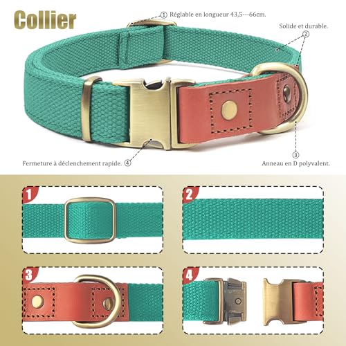 Qianruida Nylon Dog Collar and Leash Set Durable, Adjustable with a Solid Fastening, Comfortable and Durable - Image 2