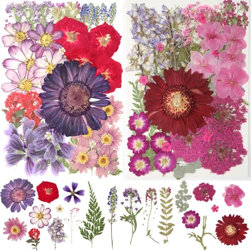 2 Packs 22 Types 100Pcs Dried Pressed Flowers,Real Pressed Flowers Dry Leaves Bulk Natural Herbs Kit for DIY Art Crafts, Resin, Jewelry, Soap, Candle, Scrapbooking,Papermaking Supplies
