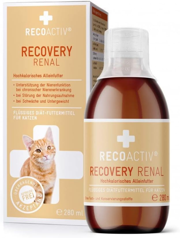 Renal Recovery for Cats, 1 x 280 ml, High Calorie Complete Dietary Food for Renal Dysfunction and Increased Energy Needs
