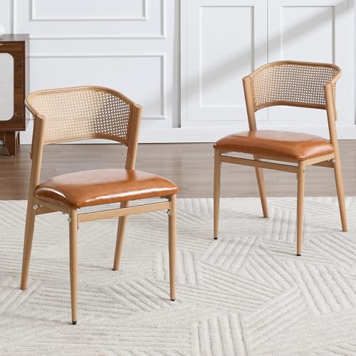 chairus Set di 2 Sedie da Cucina in Ecopelle Sedia da Pranzo con Schienale in Rattan Sedia Imbottita con Gambe in Metallo Sedie Vintage per Sala da Pranzo/Cucina/Soggiorno, Marrone