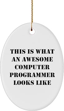Christmas Unique Gifts from Friends for Computer Programmer, Oval Ornament with Funny Quote This is What an Awesome Computer Programmer Looks Like