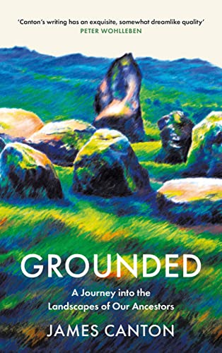 Grounded view 2