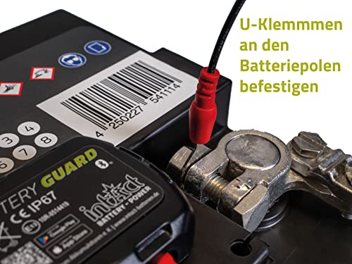 Battery-Guard Bluetooth-accubewaking via app, voor gebruik in de auto, motorfiets of camper, geschikt voor 6 V, 12 V en… - Afbeelding 5