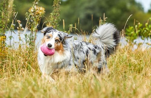 Wolters Straußen-Ei Gr.M 80x60mm himbeer