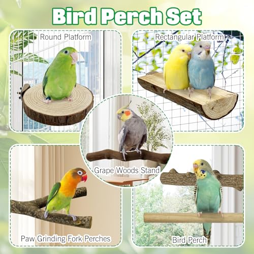 Image of Hamiledyi 10 PCS Natural Wood Bird Perches for Cage Parakeet Stand Bird Cage Accessories Parrot Perch Branch Paw Grinding Fork Parakeet Platform for Small and Medium Sized Birds Budgie Cockatiel