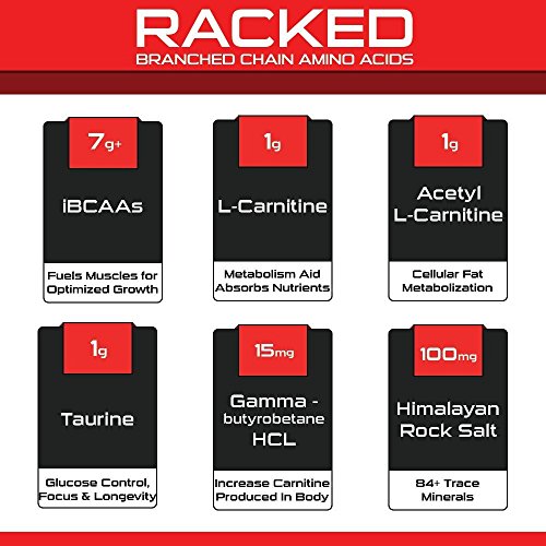 Bucked Up- Bcaa Racked™ Branch Chained Amino Acids | L-Carnitine, Acetyl L-Carnitine, Gbb | Post Workout Recovery, Protein Synthesis, Lean Muscle Bcaas That You Can Feel! 30 Servings (Watermelon) #TOP1