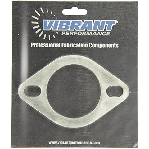 Vibrant 1473 Stainless Steel Flange Cover