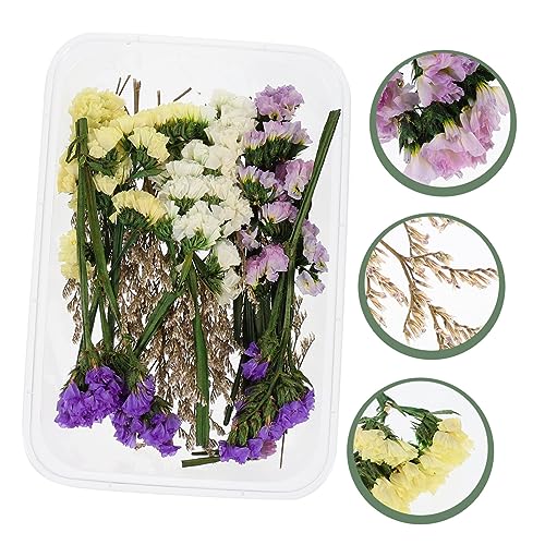 Flores secas decorativas Luxshiny para centro de mesa miniatura 4