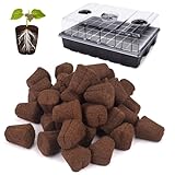 LAPOND トレイ付きグロースポンジ40個 カッティング用スタータープラグ