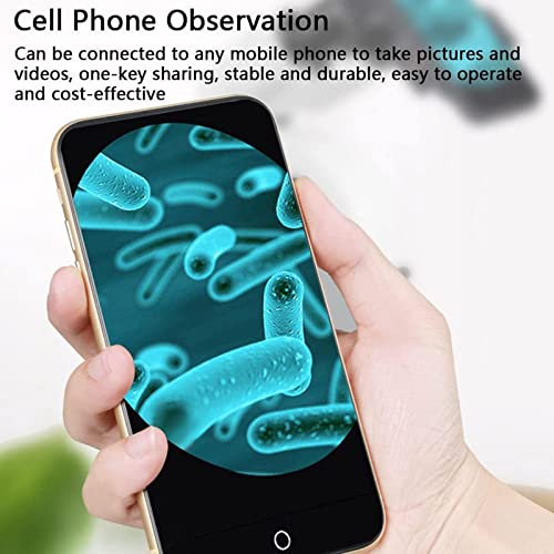 Microscopio binocular digital LED, aumento 20X-7000X, cámara Full HD, etapa 3D, iluminación doble, enfoque grueso y fino, adaptador de teléfono móvil