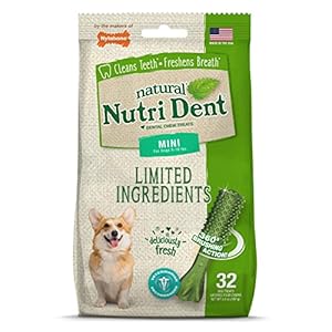 Nylabone Nutri Dent Dog Dental Chews – Natural Dog Teeth Cleaning & Breath Freshener – Dental Treats for Dogs – Fresh Breath Flavor, Mini (32 Count)